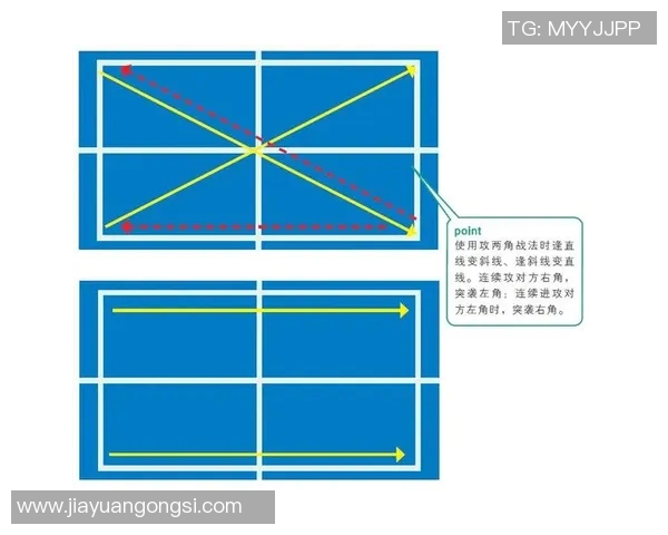 上海乒乓球队战术解析:灵活转换体系的应用与实践探讨 上海乒乓球队战术解析:灵活转换体系的应用与实践探讨
