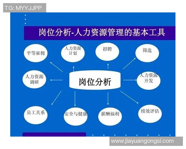 上海排球队在欧锦赛中的表现分析与状态评估 上海排球队在欧锦赛中的表现分析与状态评估