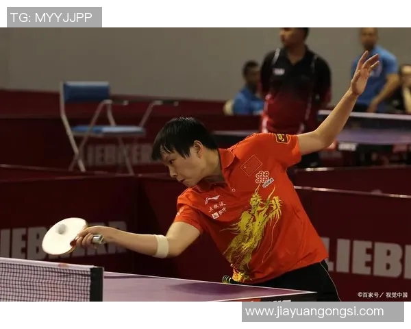 广州乒乓球队精英赛背后的拼搏故事与奋斗精神探秘